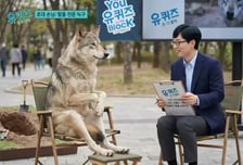 "늑구 탈출 경로 트래킹" 밈 쏟아졌다…시민들은 "생포돼 다행"