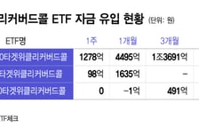 "매주 1000억씩 돈 들어온다"…타겟위클리커버드콜 인기 이유는