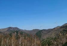 '연금' 된 산바람…태백시민에 20년 수익 안긴 가덕산[넷제로 케이스스터디]