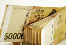 "삼전·하이닉스 억대 성과급, 지역화폐로 줘라"...부동산 투자할까 봐? '시끌'