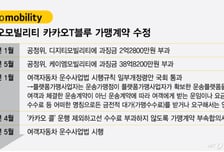 카카오T 수수료, 배회영업 매출은 뺀다