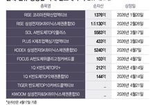 벌써 2조 몰렸다…삼성전자·SK하닉 관련 ETF 출시 우르르