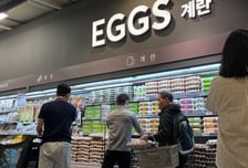 "태국산 계란, 국내산보다 2000원 싸다" 마트 오픈런...계란값 잡힐까