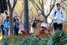 [오늘 날씨] 때늦은 한파주의보에 황사까지…아침 반짝 추위