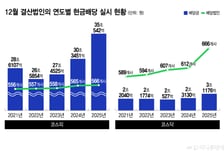 상법개정·밸류업이 쏘아 올린 '배당 잔치'