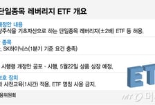 "삼전·SK하닉 2배 베팅" 내달 ETF 출시...강심장 개미 두근두근