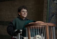 쿠팡플레이, 시리즈로 돌아온  '해리 포터와 마법사의 돌' 국내 독점 공개