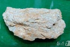 무려 1억450만톤 묻혀 있었다…영동서 발견된 '신비의 광물' 뭐길래