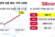 K뷰티 해외직진출 바람에도, 끄떡없는 유통플랫폼