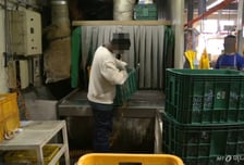 에어건 쏴 장 파열…외국인 직원 괴롭힌 업주 "미안하다"