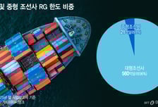 국책은행이 오히려 수출을 막는다고?…조선업계 'RG 패러독스'
