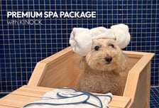 교원그룹 키녹, 반려동물 전용 '온천수 스파 패키지' 출시