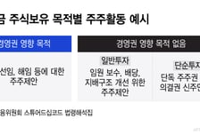 국민연금 '5%·10%룰 완화' 입법 안한다..금융지배구조 내달로 연기