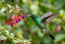 [딥 포인트] 쿠팡사태 5개월, 약자부터 무너졌다