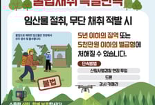 산림청, '봄철 산나물 불법 채취' 집중 단속…적발시 엄중 처벌