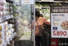 태국산 이어 美계란 224만개 추가 도입…5월 말 공급 예정