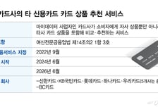 [단독]"경쟁사 왜 띄워"… 카드사 혁신금융, 2년 만에 방치 속 퇴장