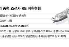 조선업 불황 때 RG 지원 떠안은 수은.."억울하다" 무슨 사연?