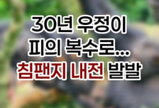 [곰국툰] 뒤쫓고 죽이고… '침팬지 내전' 발발, 왜