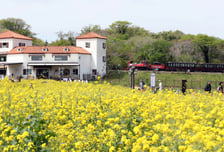 [내일 날씨] 황사 물러나고 대기질 회복…전국 '좋음~보통'