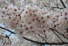 [박영신의 와인Pick!] 이럴 때 이 와인 어때?