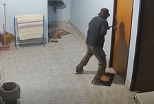 "조카 사위 '돈 자랑'에 발끈"…70대 남성, 1억원대 절도 가담