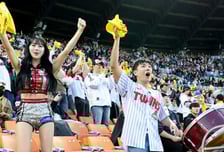 [포토] '응원하다 홈런을 봅니다!' 이준