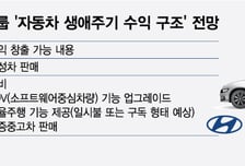 "자동차, 팔 때만 돈?"…'생애주기 수익구조' 갖추는 현대차그룹