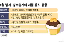 철없는 더위, 철 만난 빙과… "夏, 좋다"