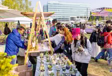 "피어나는 모든 것 위해"…서울식물원, '해봄축제' 개최