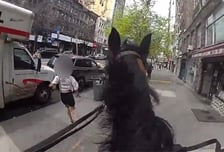 [더영상] ①뉴욕서 말 탄 경찰 ②열차 안 소화기 분사 ③지휘봉 맞은 바이올린