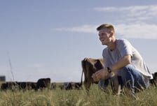 '살인적 노동' 소 몰던 카우보이들, 이젠 누워서 손가락으로 '툭툭'[월드콘]
