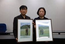렛츠런파크 부산경남 말 복지기금 馬필코노미 가동