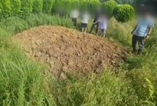 "아버지 두 번 죽이는 것 같은 심정"...이웃 산소 멋대로 파묘·화장까지