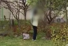 남의 집 마당 성큼성큼, '나물 서리' 딱 걸렸다…봉지째 담아가 '황당'