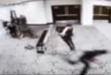 [영상]"무기 들고 보안검색대 돌진"...트럼프, 총격 용의자 영상 공개