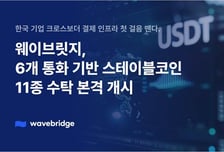 달러 넘어 엔·유로까지…웨이브릿지, 스테이블코인 수탁 11종 지원