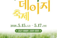 신안군, 샤스타데이지 축제 개최