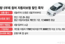 "고작 1만4000원 환급?"...5부제 차보험특약, 가입자도 보험사도 '부글'