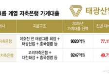 겨우 적자 탈출인데… 태광그룹 계열 저축은행, 올해 영업 빨간불