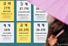 "보유공제 폐지, 실거주시 최대 80%"…장특공 개정안 나왔다
