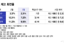 전셋값 치솟자 "대출받아 집 사자"...서울 외곽 몰리더니 '매물 품귀'