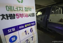 '車 5부제 2% 할인특약' 가입자는 적어서 불만, 보험사는 많아서 난감