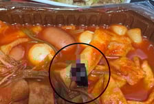 "떡볶이 먹으려다 경악" 푹 익은 바퀴벌레가 쏙...삼첩분식 위생 논란