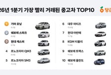 "단종된 중고차 찾아요"...당근서 등록 8일 만에 팔린 인기 차종은?