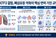 "숨차고 호흡 불편 사망까지"...폐 딱딱해지는 이유 찾았다