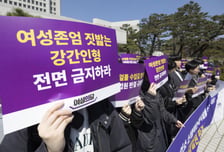 '리얼돌 수입 허용' 재확인 판결에 반발 이어져…'왜곡된 성인식' 우려