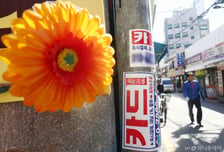 "이 대출, 안 갚아도 됩니다" 금감원장 도장 쾅…'무효' 된 53건, 왜?