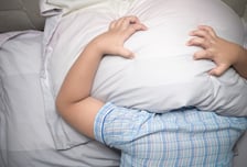 "1년간 개 짖는 소리에 고통"…흉기 들고 이웃 찾아간 50대
