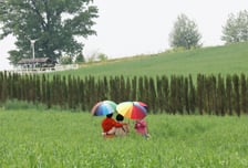 [내일 날씨] 출근길 최저 6도 '쌀쌀'…큰 일교차 주의